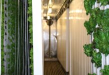 Boston Public Market Announces Initial Round of Vendors for Permanent, Year-Round Local Food Market, Including East Boston Business East Boston Corner Stalk