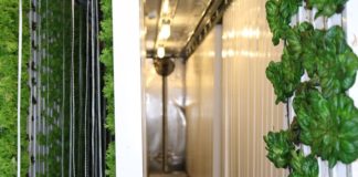 Boston Public Market Announces Initial Round of Vendors for Permanent, Year-Round Local Food Market, Including East Boston Business East Boston Corner Stalk