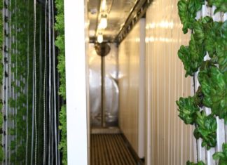 Boston Public Market Announces Initial Round of Vendors for Permanent, Year-Round Local Food Market, Including East Boston Business East Boston Corner Stalk