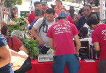 October 5, 2016: Dancing Elotes at East Boston Farmer’s Market FarmersMarket2019