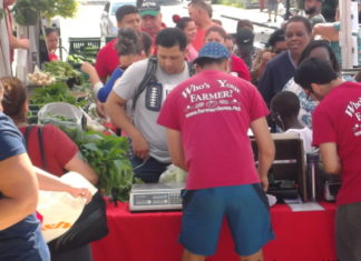 October 5, 2016: Dancing Elotes at East Boston Farmer’s Market FarmersMarket2019