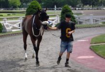 Live racing returns to Suffolk Downs with three racing and food truck festivals HorseRacingin East Boston