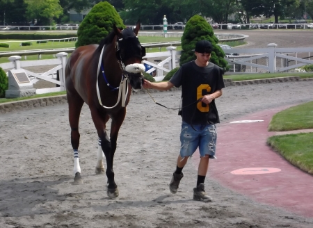 Live racing returns to Suffolk Downs with three racing and food truck festivals HorseRacingin East Boston