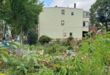 GreenRoots which serves East Boston receives Blue Cross Blue Shield Through ‘Racial Justice in Health’ Grants Stock-East Boston- Victory Garden on Marginal Street