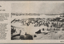 From the archives: Remembering Wood Island Park East Boston Edith DeAngelis