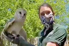 BPL: Zoo New England Animal Meet and Greet: A Virtual Event on February 16 Zoo East Boston Library