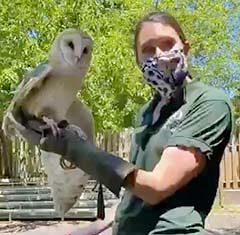 BPL: Zoo New England Animal Meet and Greet: A Virtual Event on February 16 Zoo East Boston Library