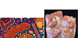 Atlantic Works: Atlantic Works East Boston April 2021