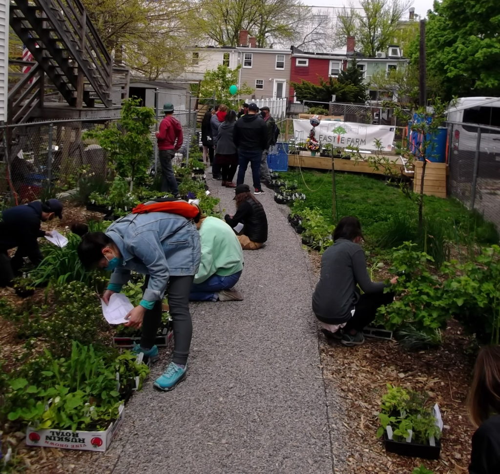 East Boston Eastie Farm