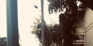 Mabel Center for Immigrant Justice awarded $100,000 Cummings grant MABEL