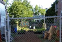 Eastie Farm seedlings! Order by March 29, 2022