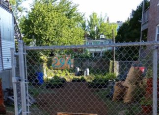 Eastie Farm seedlings! Order by March 29, 2022