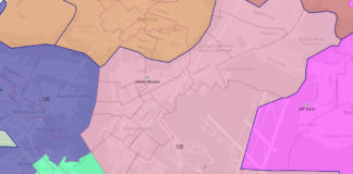 Voting rights group,DrawingDemocracy, suggests new majority-minority districts for MA; EB Senate district would change