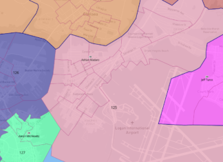 Voting rights group,DrawingDemocracy, suggests new majority-minority districts for MA; EB Senate district would change