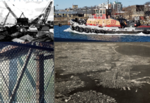 Kelly Strong: Support for working-class jobs in Boston Harbor is widespread EastBoston.com Collage Images Mixes Sources