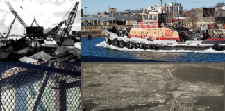 Kelly Strong: Support for working-class jobs in Boston Harbor is widespread EastBoston.com Collage Images Mixes Sources