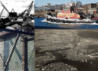Kelly Strong: Support for working-class jobs in Boston Harbor is widespread EastBoston.com Collage Images Mixes Sources