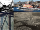 Kelly Strong: Support for working-class jobs in Boston Harbor is widespread EastBoston.com Collage Images Mixes Sources
