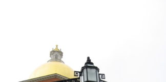 Freedberg on the State Senate race: “A tale of two electorates” State House