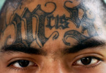 MS-13 Gang Member Sentenced to More than 10 Years in Federal Prison; Duende goes to the Big House MS 13 Salvadorean National