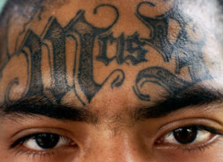 MS-13 Gang Member Sentenced to More than 10 Years in Federal Prison; Duende goes to the Big House MS 13 Salvadorean National