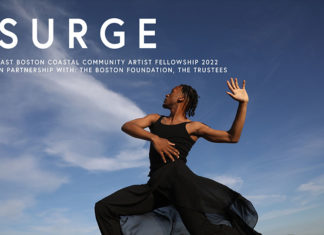 Open call for East Boston BIPOC Artists East Boston Arts and Culture