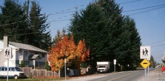 Matt Robare: Taking it to Wu’s streets: Bike lanes, sidewalks and free buses for a walkable city Raised Sidewalk