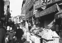 Upcoming programs at the East Boston Branch of the Boston Public Library for June 2022 East Boston history Italian