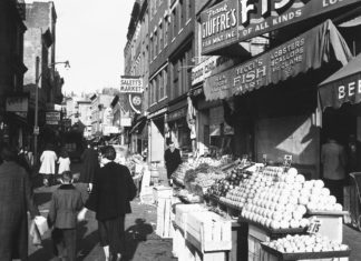 Upcoming programs at the East Boston Branch of the Boston Public Library for June 2022 East Boston history Italian