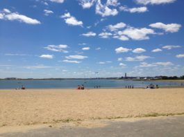 Constitution Beach receives a 93% water quality rating according to Save the Harborย East Boston Beach