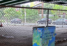 311 Summary for 2022: Service calls from East Boston to City Hall — parking worries dominated complaints