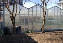 Eastie Farm’s Chelsea Terrance Greenhouse featured in Christian Science Monitor