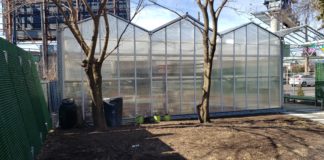 Eastie Farm’s Chelsea Terrance Greenhouse featured in Christian Science Monitor