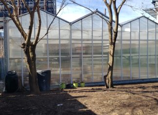 Eastie Farm’s Chelsea Terrance Greenhouse featured in Christian Science Monitor