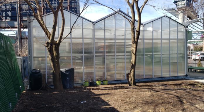 Eastie Farm’s Chelsea Terrance Greenhouse featured in Christian Science Monitor