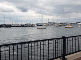 Senator Edwards Delivers Major Environmental and Resiliency Investments for Third Suffolk in $3.64B Bond Bill