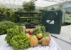 National Corporate Giving Leaders Visit East Boston Nonprofits