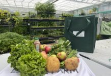 National Corporate Giving Leaders Visit East Boston Nonprofits