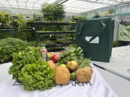National Corporate Giving Leaders Visit East Boston Nonprofits