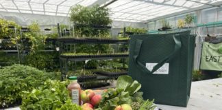 National Corporate Giving Leaders Visit East Boston Nonprofits