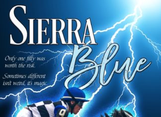 Just in time for the Triple Crown season: A book about horse racing for all ages