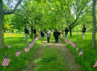 Massport, Tree Eastie Team Up to Expand Urban Forestry in East Boston Memorial Day 2024