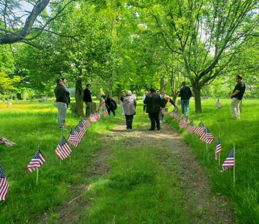 Massport, Tree Eastie Team Up to Expand Urban Forestry in East Boston Memorial Day 2024