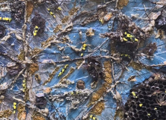 Atlantic Works Gallery announces two mixed media exhibitions for November East Boston Atlantic Works Gallery