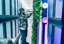 Eastie Farm Spring Equinox Party & Grand Opening