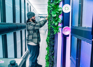 Eastie Farm Spring Equinox Party & Grand Opening