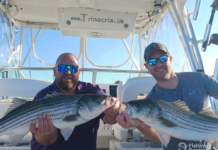 Local charter operator among top angler in Bay State