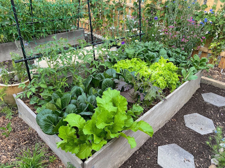 Gardening East Boston