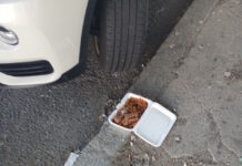 EastBoston.com exclusive: Calls to City Hall from January 2025 through June 2025 East Boston