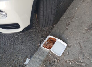 EastBoston.com exclusive: Calls to City Hall from January 2025 through June 2025 East Boston